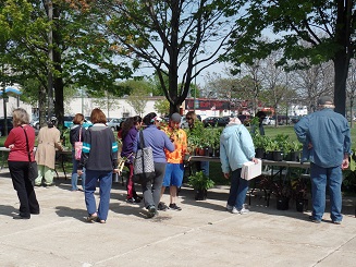 Plant Sale